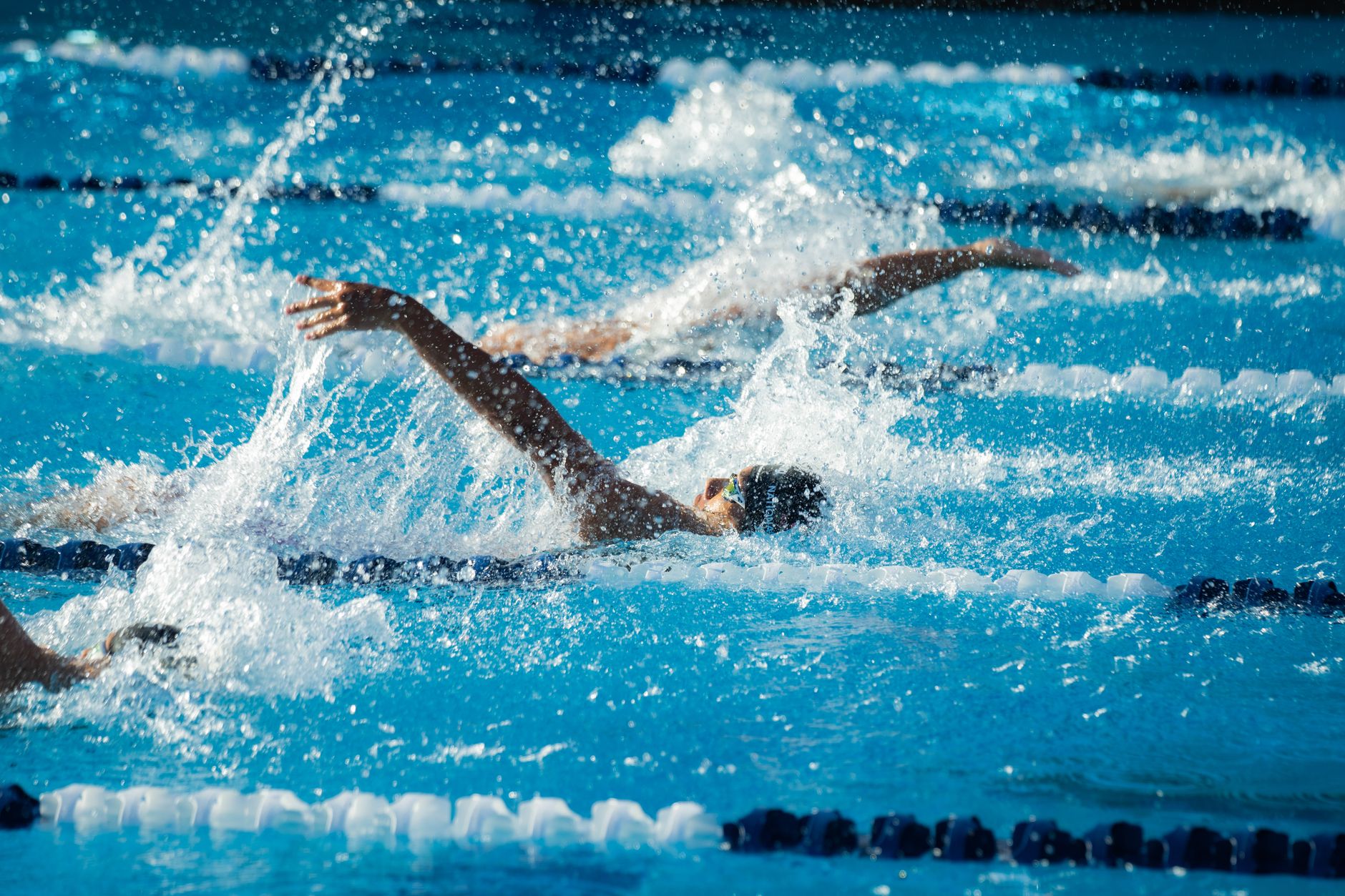 Action shot of swimmers competing in a pool race, displaying athletic skill.