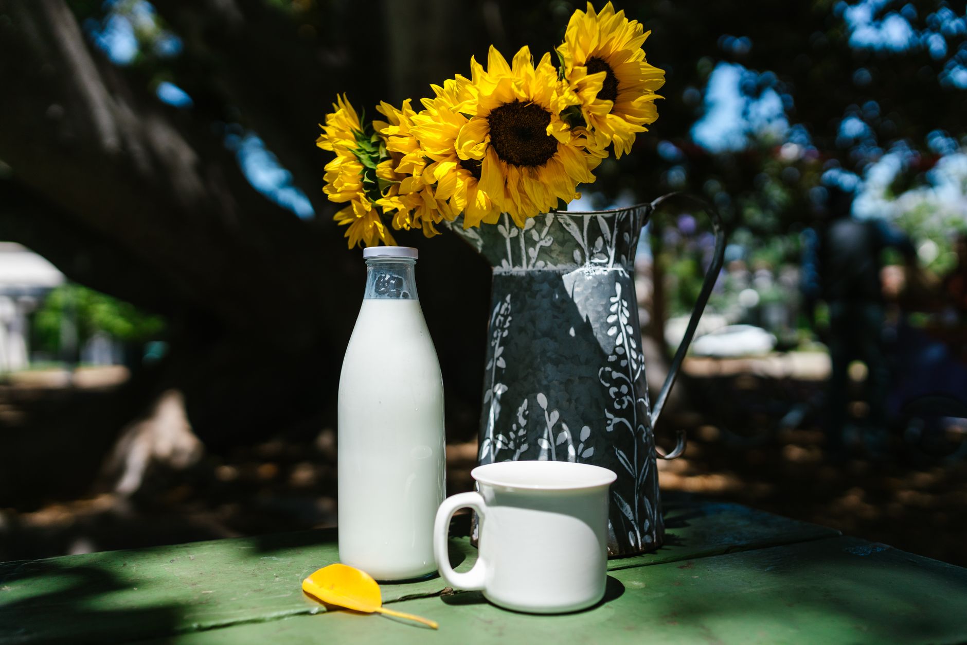 Rustic summer scene with sunflowers, milk, and mug on a table.